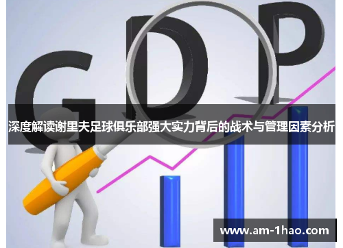 深度解读谢里夫足球俱乐部强大实力背后的战术与管理因素分析 深度解读谢里夫足球俱乐部强大实力背后的战术与管理因素分析