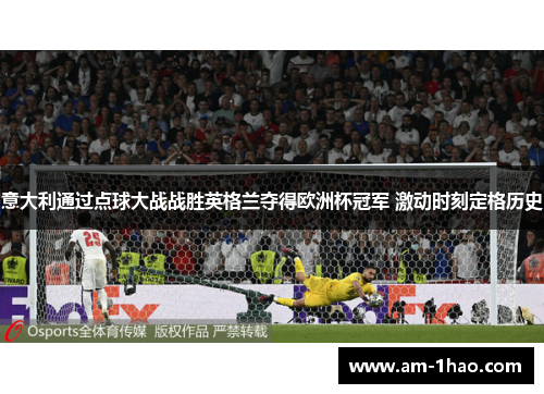 意大利通过点球大战战胜英格兰夺得欧洲杯冠军 激动时刻定格历史