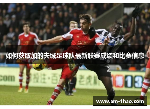 如何获取加的夫城足球队最新联赛成绩和比赛信息