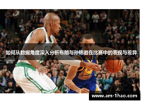 如何从数据角度深入分析布朗与孙铭徽在比赛中的表现与差异 如何从数据角度深入分析布朗与孙铭徽在比赛中的表现与差异