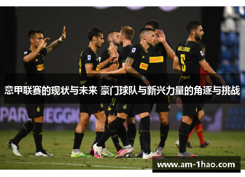 意甲联赛的现状与未来 豪门球队与新兴力量的角逐与挑战 意甲联赛的现状与未来 豪门球队与新兴力量的角逐与挑战