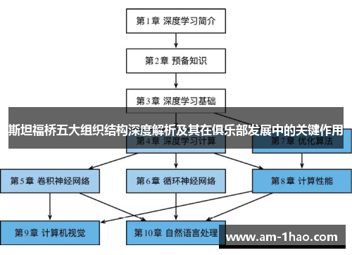 斯坦福桥五大组织结构深度解析及其在俱乐部发展中的关键作用