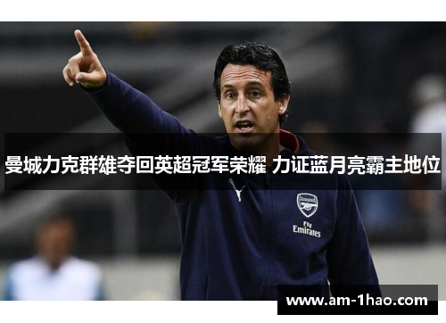 曼城力克群雄夺回英超冠军荣耀 力证蓝月亮霸主地位 曼城力克群雄夺回英超冠军荣耀 力证蓝月亮霸主地位