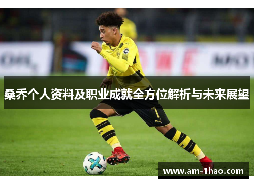 桑乔个人资料及职业成就全方位解析与未来展望 桑乔个人资料及职业成就全方位解析与未来展望